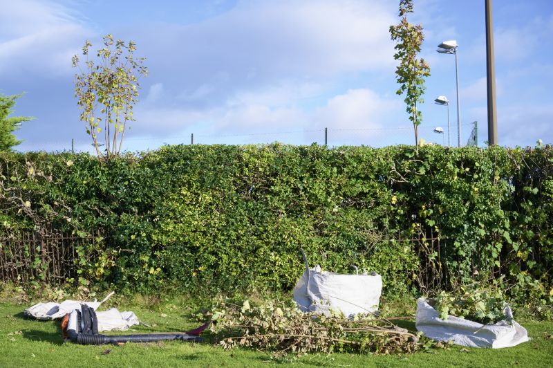 Hedge Installation detail