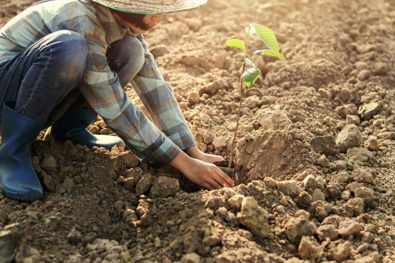 Roots keep soil intact