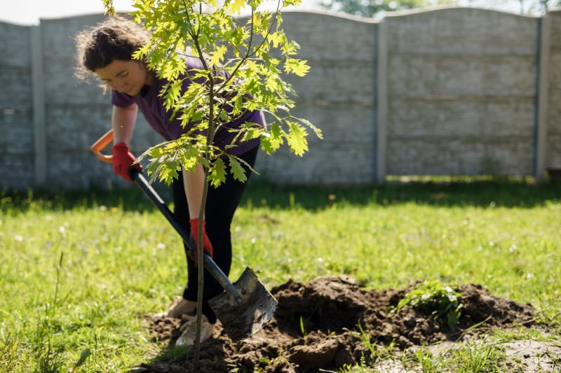 Tree Planting